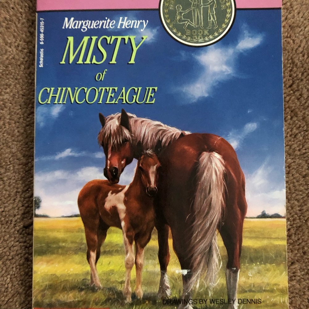 Misty of Chincoteague Coffee Table Book - Brown Cover
